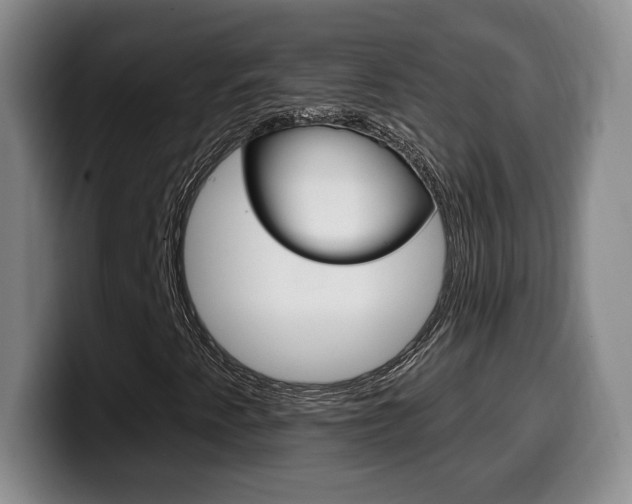 X0000099971345200805230953