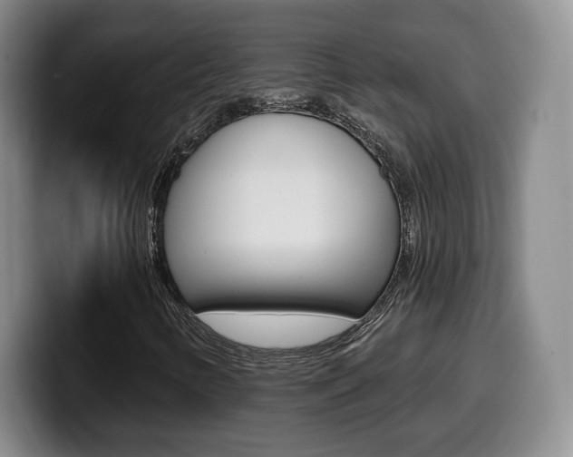 X0000099971346200805230953