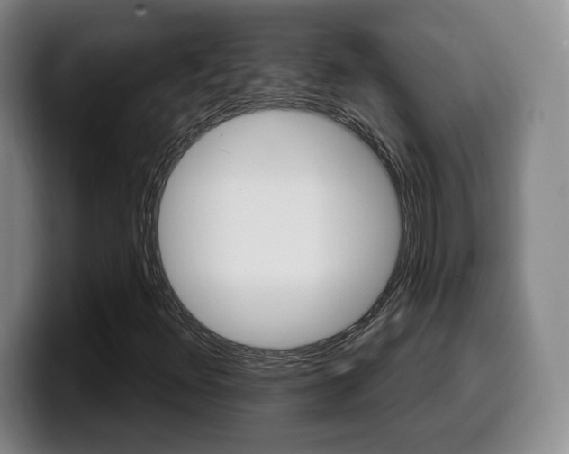 X0000099971348200805230953