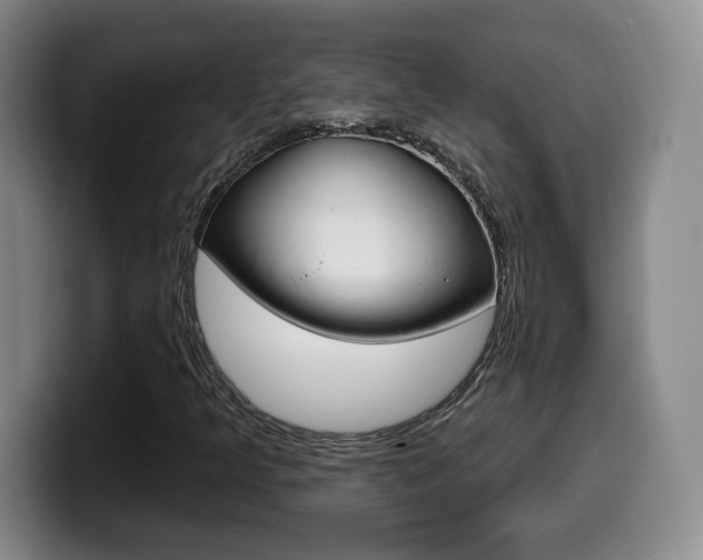 X0000099971349200805230953