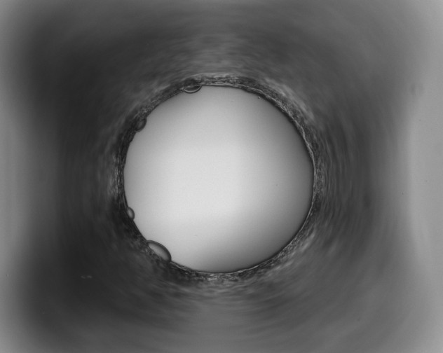 X0000099971350200805230953