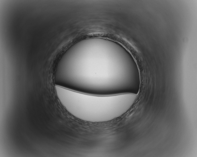 X0000099971351200805230953