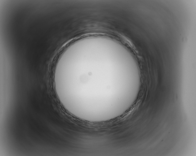 X0000099971352200805230953