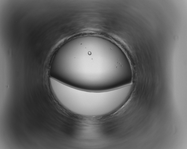 X0000099971355200805230953