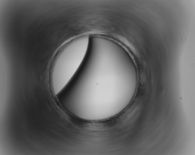 X0000099971356200805230953