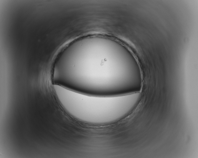 X0000099971359200805230953