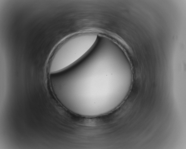 X0000099971364200805230953
