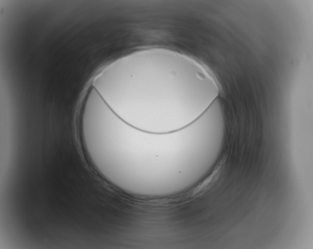 X0000099971365200805230953