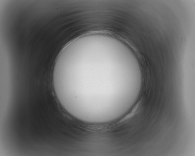 X0000099971369200805230953