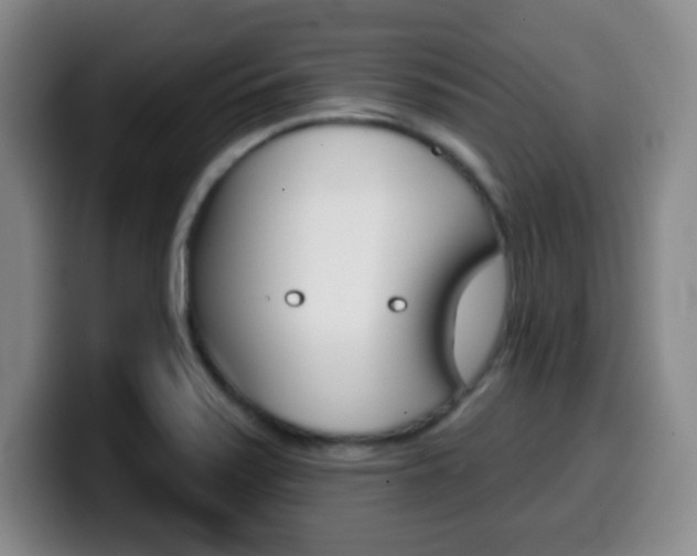 X0000099971371200805230952