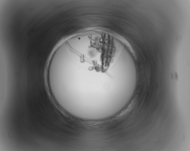 X0000099971373200805230952