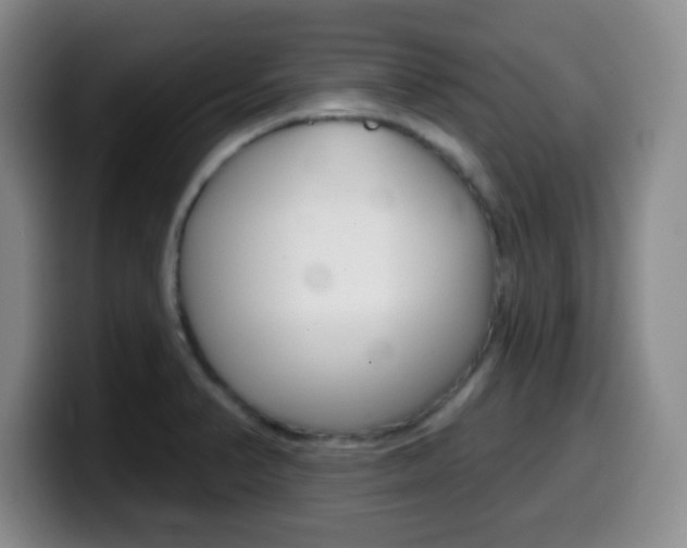 X0000099971374200805230952