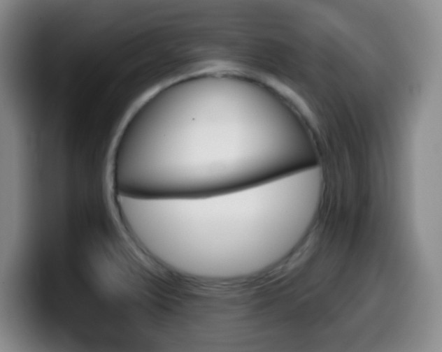 X0000099971375200805230952