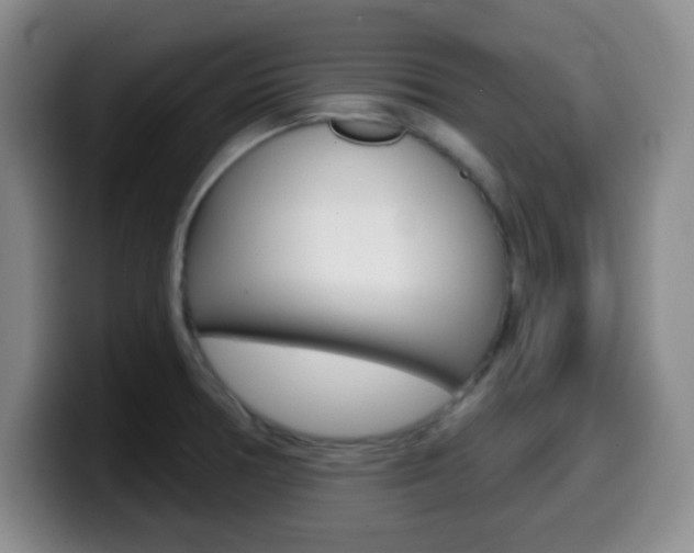 X0000099971378200805230952