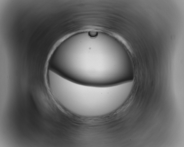 X0000099971379200805230952