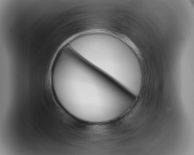X0000099971380200805230952
