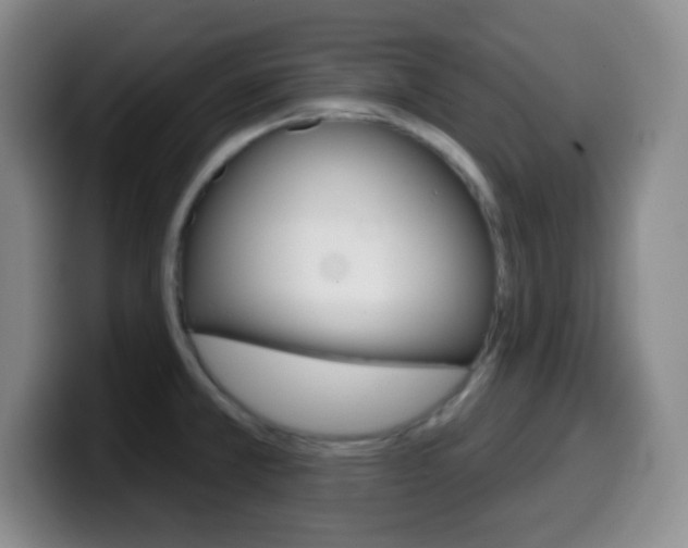 X0000099971381200805230952