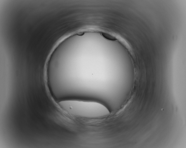 X0000099971382200805230952