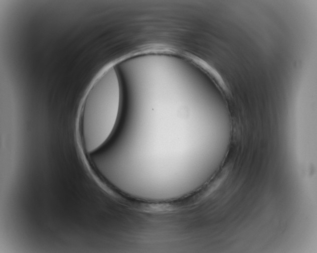 X0000099971383200805230952