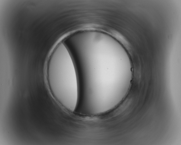 X0000099971384200805230952