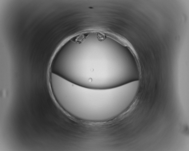 X0000099971389200805230952