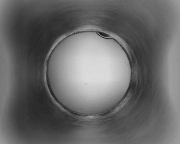 X0000099971390200805230952
