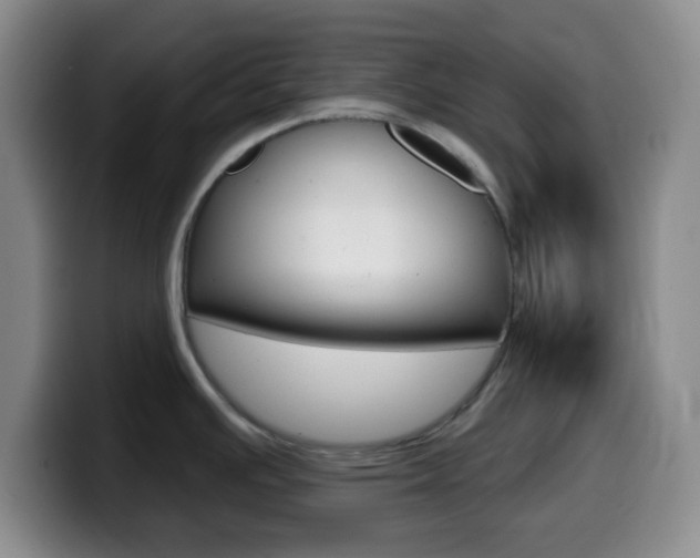 X0000099971391200805230952