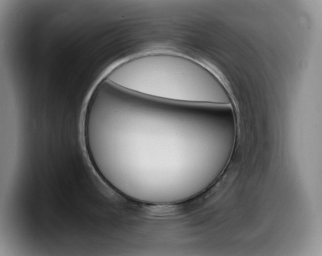 X0000099971392200805230952