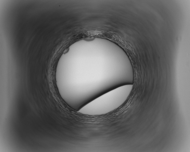 X0000099971393200805230952