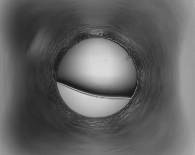 X0000099971394200805230952