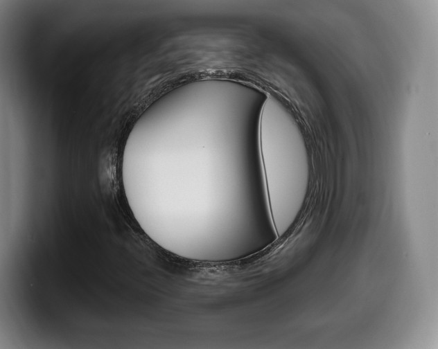 X0000099971396200805230952