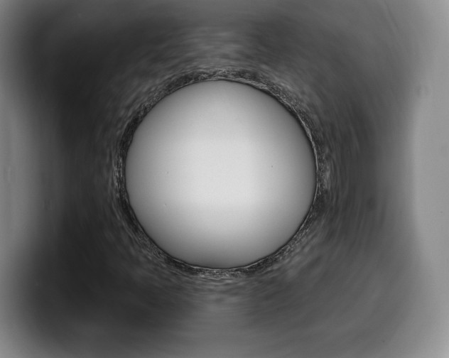X0000099971397200805230952