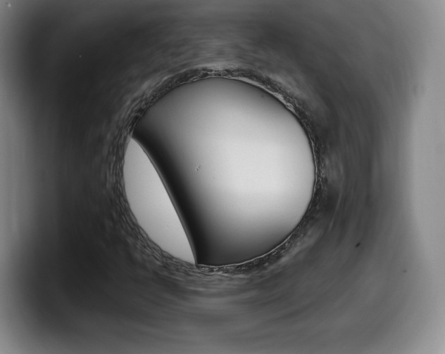 X0000099971398200805230952