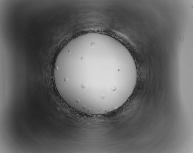 X0000099971399200805230952