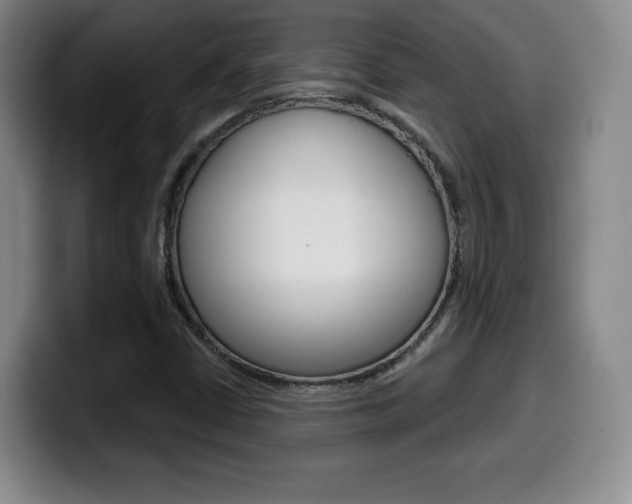 X0000099971402200805230952