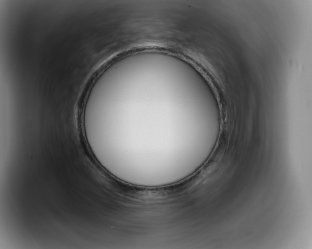 X0000099971404200805230952
