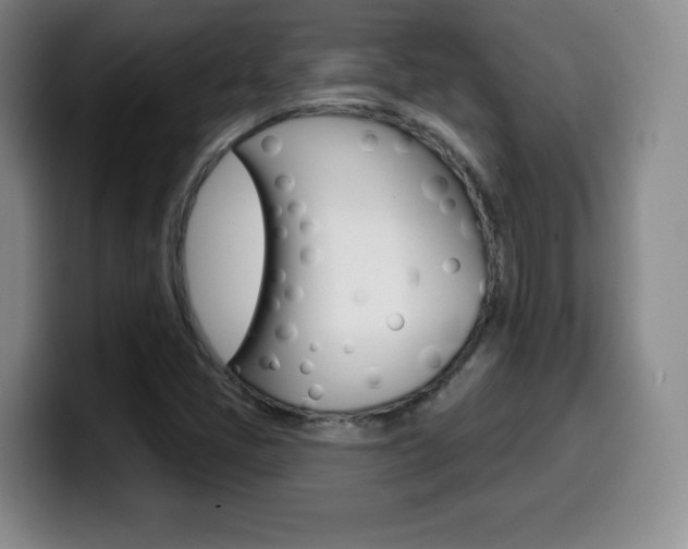 X0000099971405200805230952