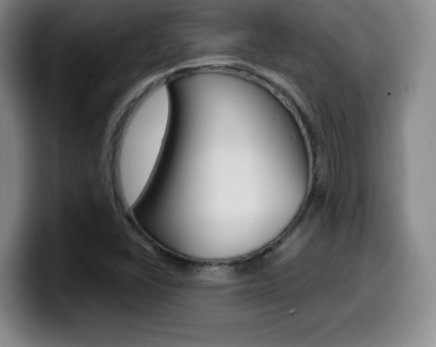 X0000099971406200805230952