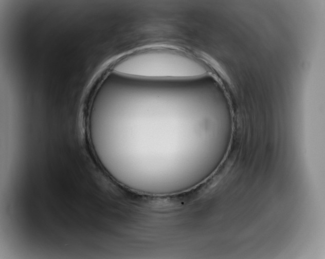 X0000099971408200805230952