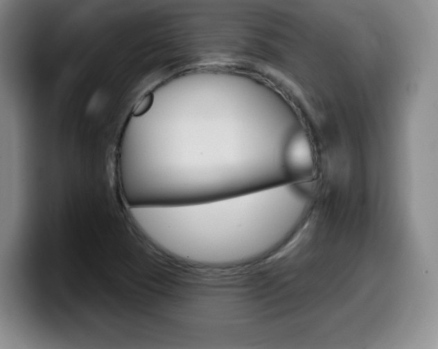 X0000099971409200805230952