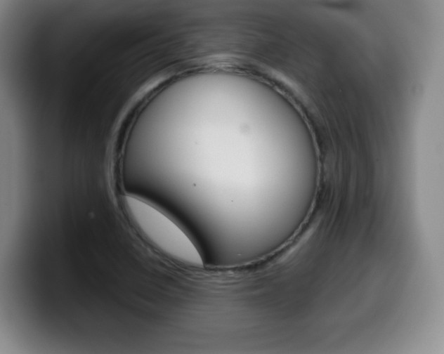 X0000099971410200805230952