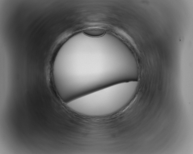 X0000099971411200805230952