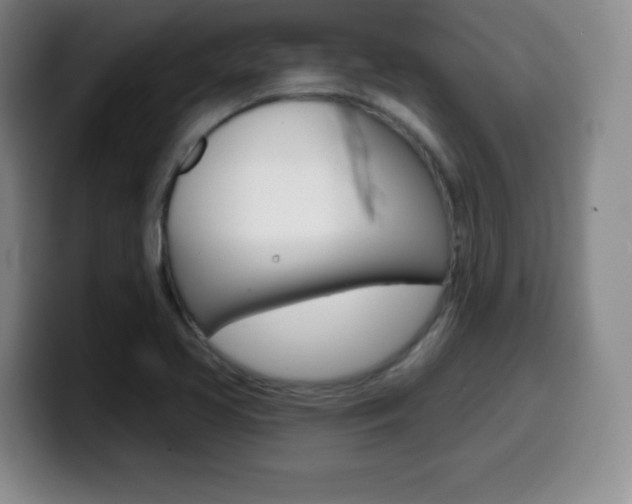 X0000099971413200805230952
