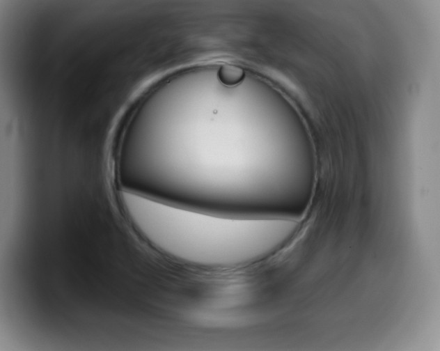 X0000099971414200805230952