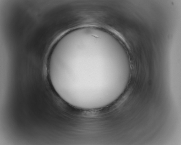 X0000099971415200805230952