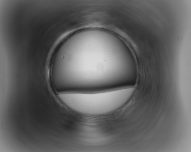 X0000099971416200805230952