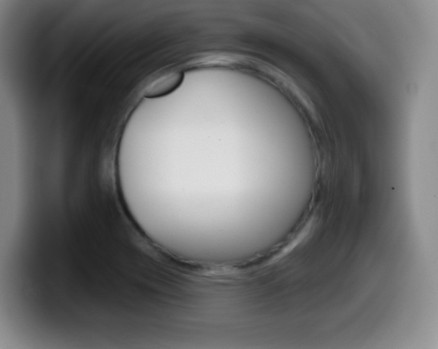X0000099971417200805230952