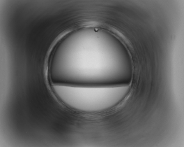 X0000099971418200805230952