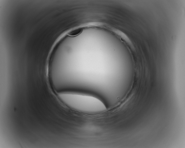 X0000099971420200805230952