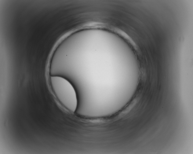 X0000099971421200805230952